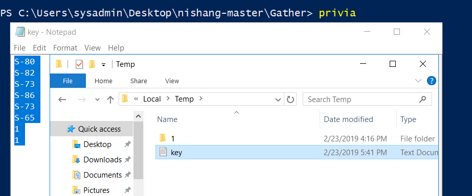Nishang ile Windows Post Exploitation - Part 3