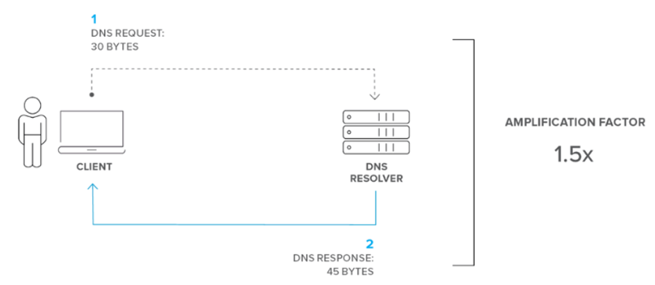 DNS Amplification Attack Nedir?