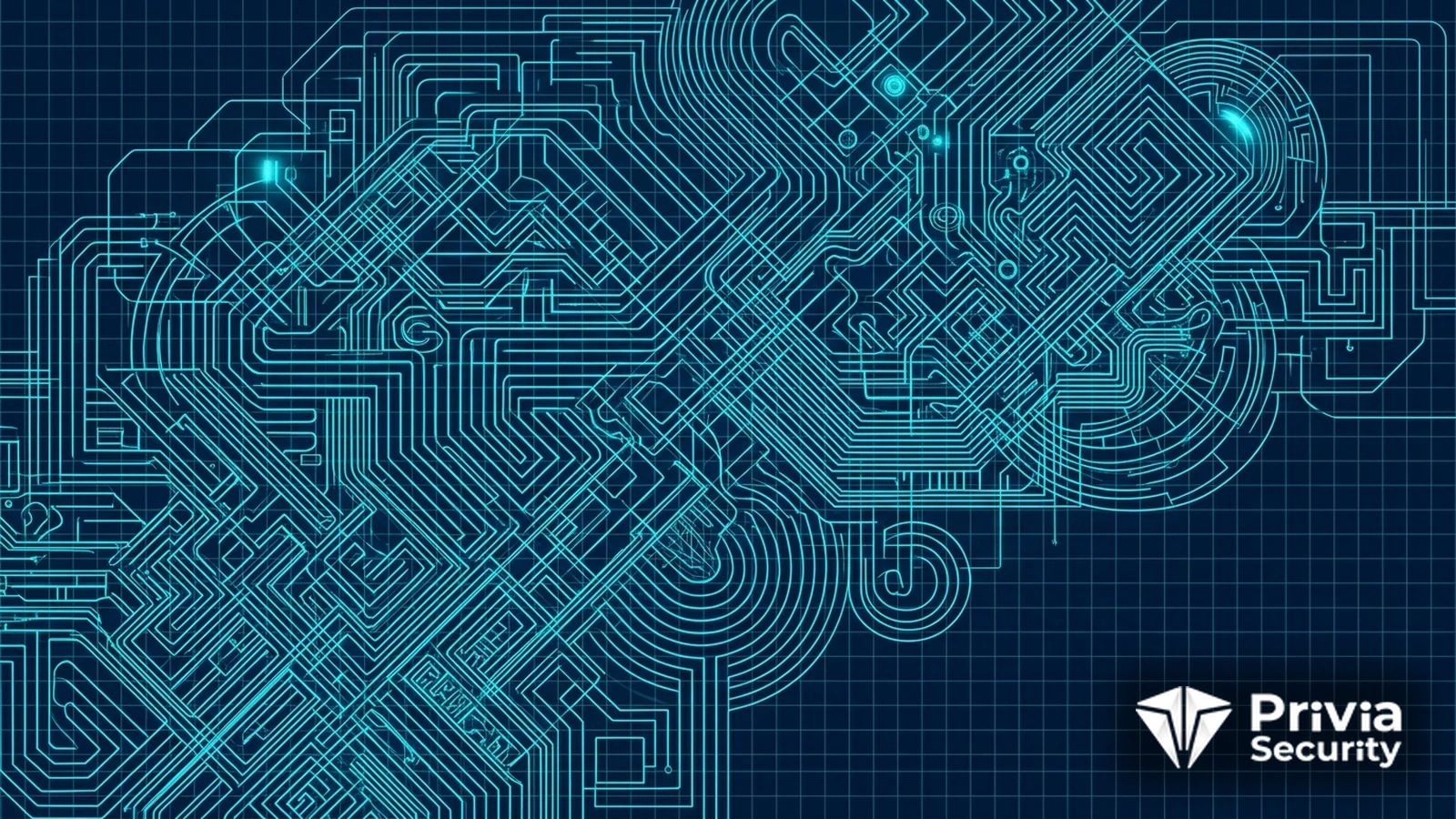 Kod Karartma (Obfuscation) Nedir?