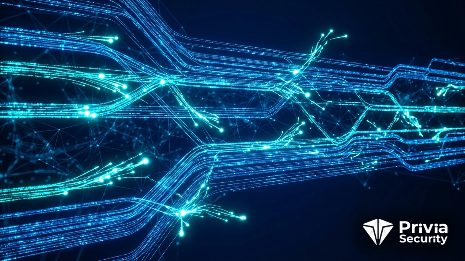 NetFlow Analizinde Anomali Nedir?